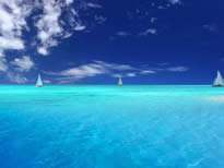 金年会|jinnianhui金年会·(金字招牌)诚信至上官网